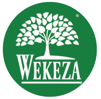 Wekeza Holdings, Inc.