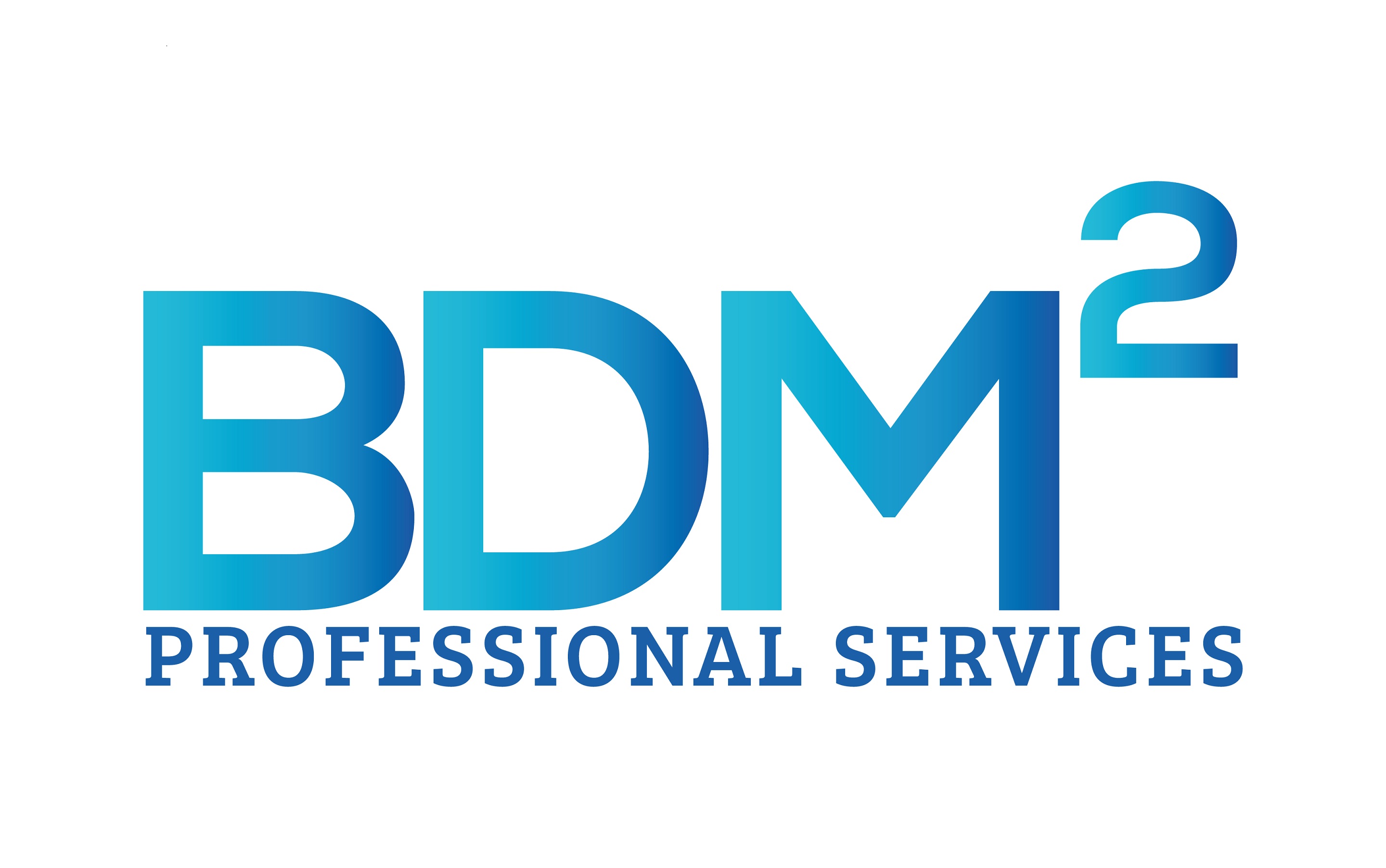 BDM Squared LLC