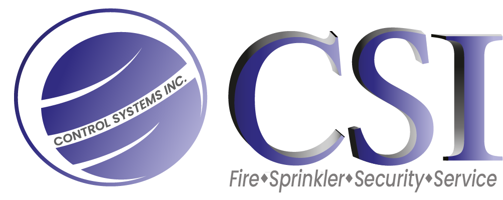 Control Systems Inc.